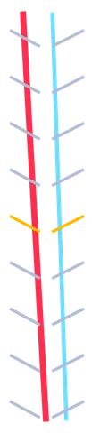 REDLINE SLIPSTREAM JOGGER: outer leg artwork preview
